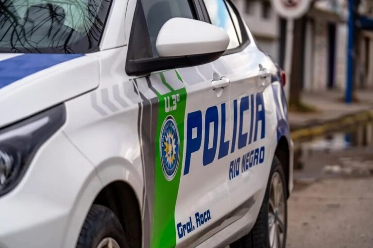 Un llamado de alerta al 911 permitió detener a una mujer con pedido de captura