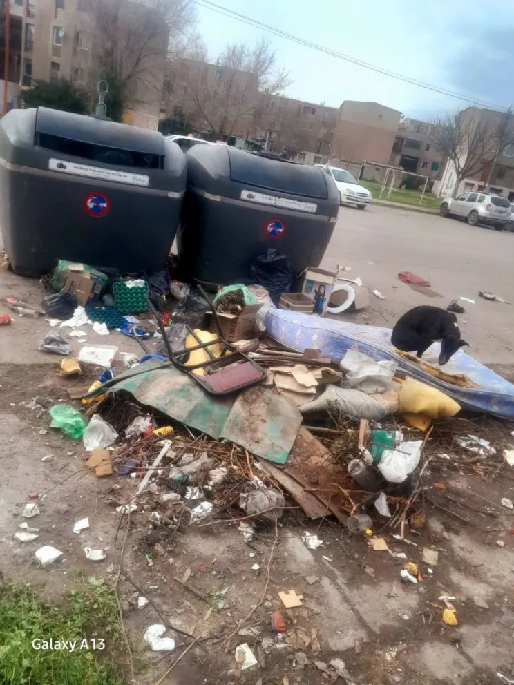 Malestar en las 915 Viviendas: a pocos días del operativo de limpieza volvieron a aparecer microbasurales
