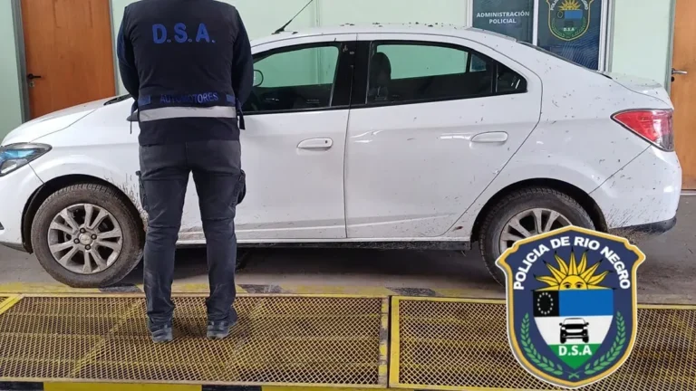 La Policía secuestró un automóvil “gemelo” durante una verificación vehicular