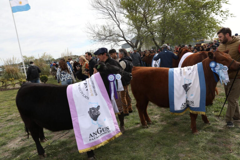 Viedma será sede de la 30° Expo Rural de la Comarca y la XIII Nacional Patagónica de Angus