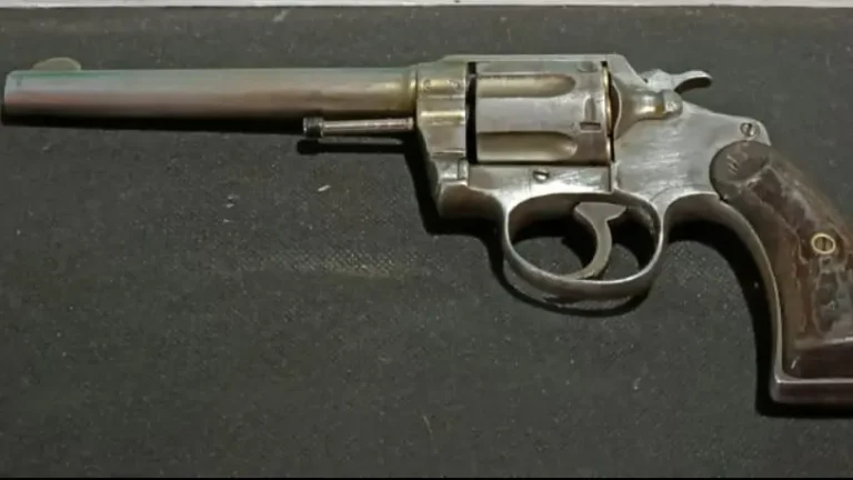 Un allanamiento en Balsa Las Perlas permitió secuestrar un arma de fuego vinculada a una causa por lesiones