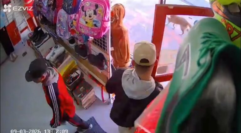 Fingieron ser clientes y escaparon corriendo con dos pares de zapatillas en pleno centro de Viedma