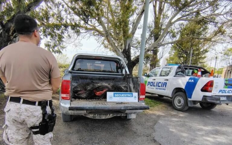Reincidentes y otra vez en la mira: sorprendieron a dos cazadores de jabalíes en Guardia Mitre