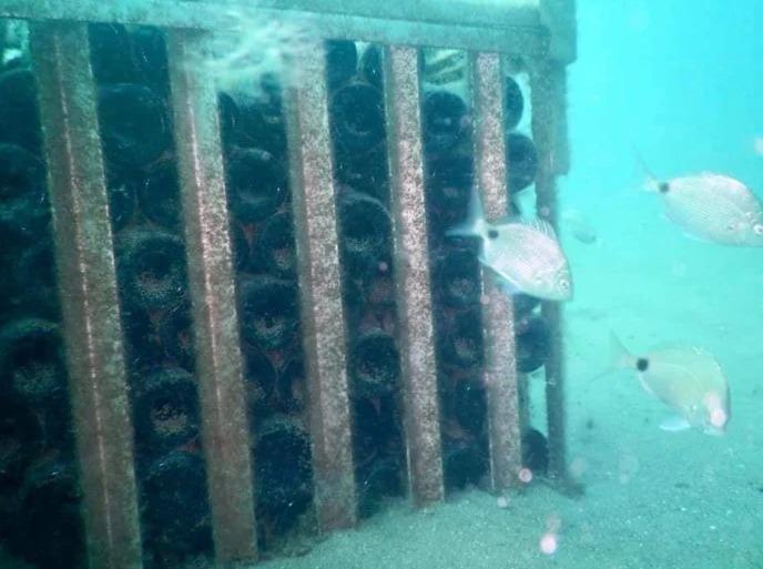 Las Grutas prepara una nueva inmersión de vinos en el mar: abrieron la segunda etapa de las cavas submarinas