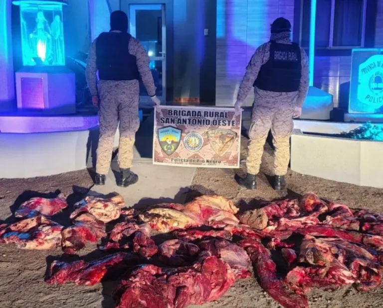 Decomisaron más de 200 kilos de carne bovina fraccionada que eran transportados de manera ilegal en el baúl de un vehículo