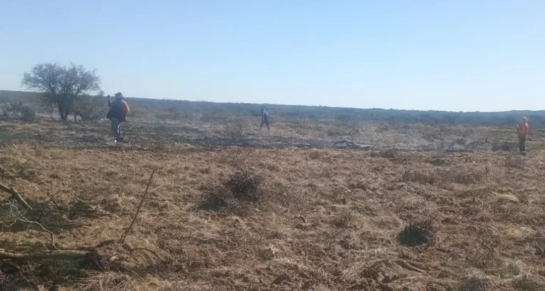 Fuego a la vera del camino: un incendio rural movilizó a los bomberos y generó complicaciones sobre la Ruta Nacional 3