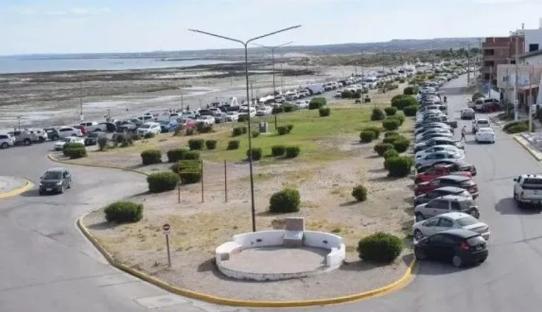 Un reclamo por 210 millones de pesos tras la tala no autorizada de árboles en un camping de Las Grutas
