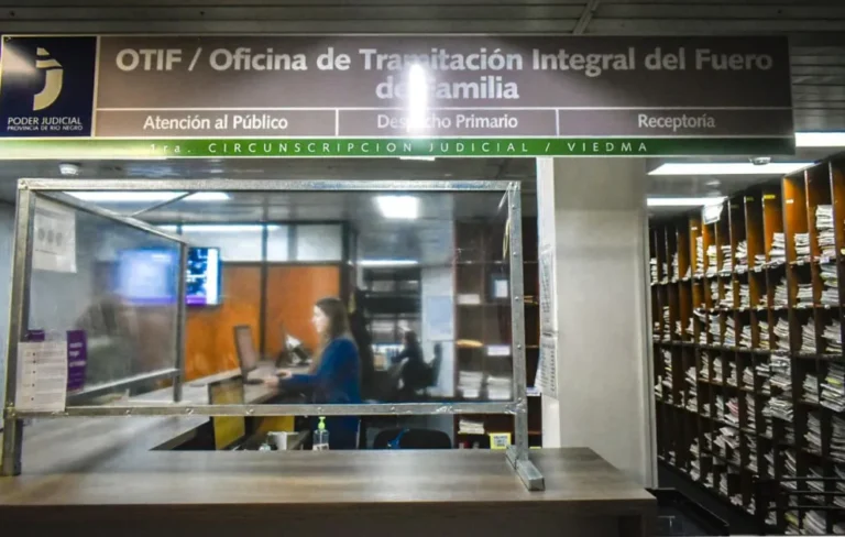 A través de un embargo, la Justicia endureció la ejecución contra un deudor alimentario