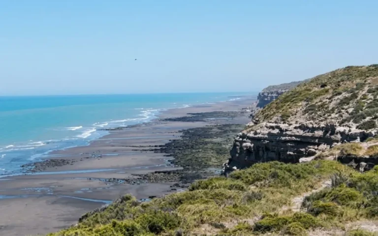Mantienen la veda preventiva por presencia de toxina paralizante en moluscos de la costa atlántica rionegrina