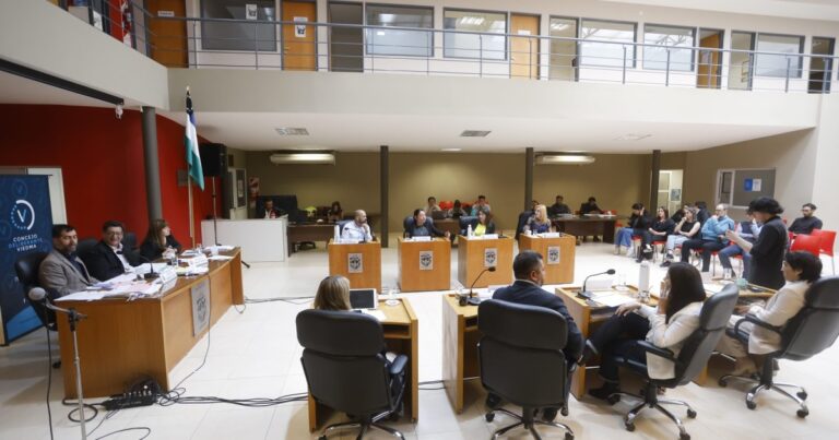 El Concejo Deliberante de Viedma aprobó regulaciones para centros culturales, monopatines eléctricos y habilitaciones comerciales exprés