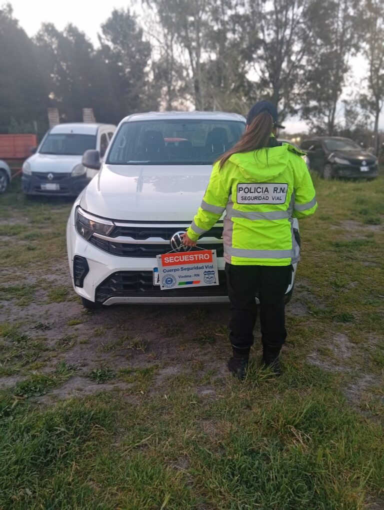 Secuestran en Viedma una camioneta robada en Buenos Aires con documentación y numeración adulteradas