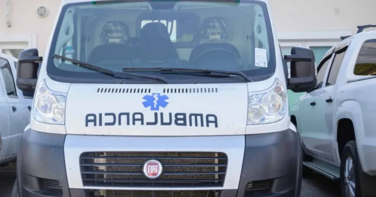 Feroz ataque en San Antonio Oeste: un pitbull mordió a una nena de tres años y fue derivada a Roca