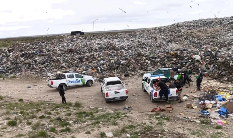 Decomisaron más de tres toneladas de carne e investigan una fábrica de chacinados en Viedma