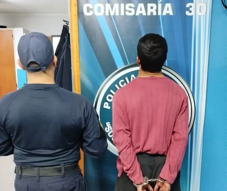 Dos hombres fueron detenidos tras cometer un hurto en un comercio de Viedma y ser divisados por las cámaras de seguridad